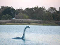  -   - Loch Ness / - 