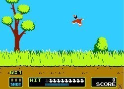 Duck Hunt -  