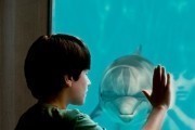   / Dolphin Tale (2011)