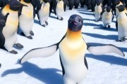   2 / Happy Feet Two (2011)