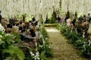 . . :  1 / The Twilight Saga: Breaking Dawn - Part 1 (2011)