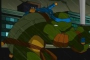   .  ! (1-7 ) / Teenage Mutant Ninja Turtles (2003-...)