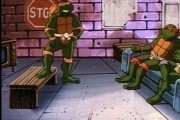    / Teenage Mutant Ninja Turtles (1987-1996)