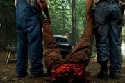   / Tucker and Dale vs Evil (2010)