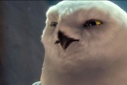    / Legend of the Guardians: The Owls of Ga'Hoole (2010)