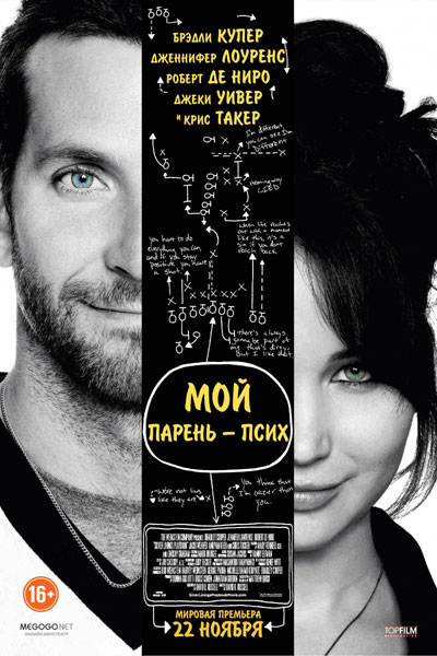     / Silver Linings Playbook (2012)