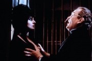 :   / Elvira: Mistress of the Dark (1988)