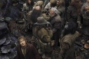 :   / The Hobbit: The Desolation of Smaug (2013)