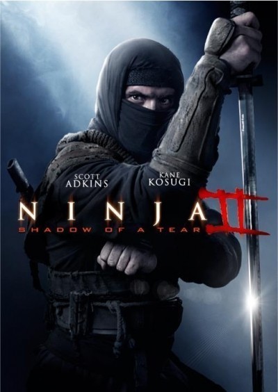  2 / Ninja: Shadow of a Tear (2013)