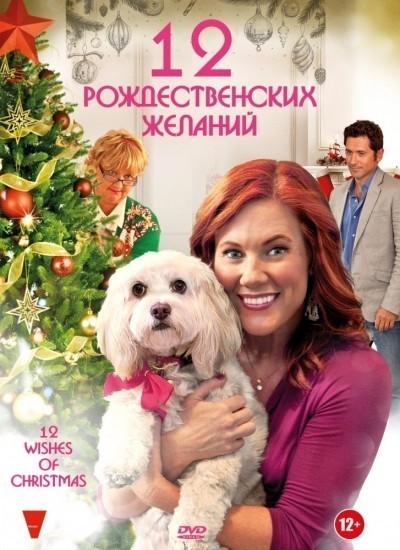 12   / 12 Wishes of Christmas (2011)