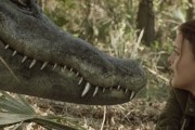   / Ragin Cajun Redneck Gators (2013)