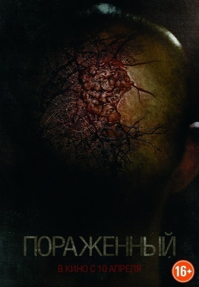  / Afflicted (2013)