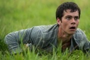    / The Maze Runner (2014)