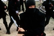   / American Ninja (1985)