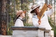    / The Secret Life of Bees (2008)