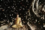   / Little Buddha (1993)