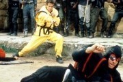   4:   / American Ninja 4: The Annihilation (1990)