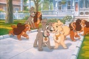    2:   / Lady and the Tramp II: Scamp's Adventure (2001)