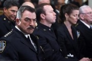   -  / Blue Bloods (2010-...)