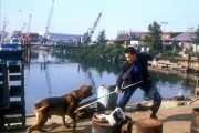 Ҹ   / Turner & Hooch (1989)