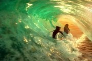  ! / Surf's Up (2007)