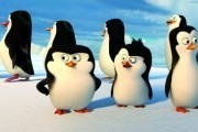   / Penguins of Madagascar (2014)