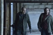 12  -  / 12 Monkeys (2014-...)