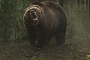  / Grizzly (2013)