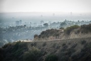  / McFarland, USA (2015)