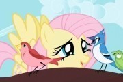   :     -  / My Little Pony: Friendship Is Magic (2010-...)