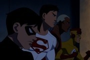    -  / Young Justice (2010-...)