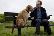   / Absolutely Anything (2015)