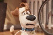     / The Secret Life of Pets (2016)