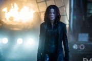  :   / Underworld: Blood Wars (2016)