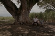    / La tierra y la sombra (2015)