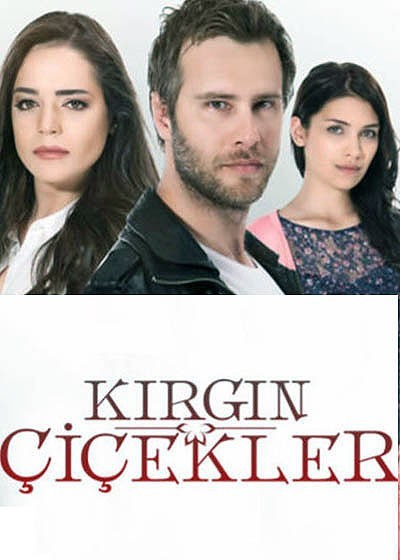   -  / Kirgin &#199;i&#231;ekler (2015)