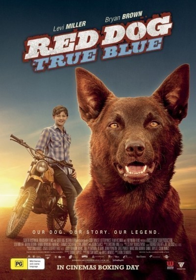 :   / Red Dog: True Blue (2016)