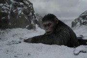  :  / War for the Planet of the Apes (2017)