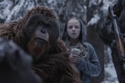  :  / War for the Planet of the Apes (2017)