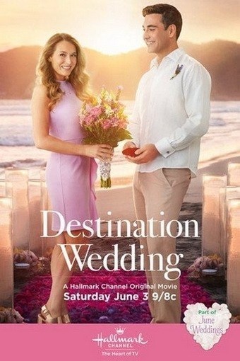  :  / Destination Wedding (2017)