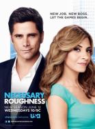   -  / Necessary Roughness (2011-2013)