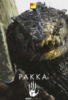  / Rakka (2017)