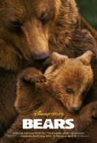  / Bears (2014)