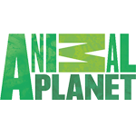 Animal Planet HD  