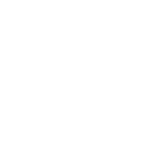 MTV  HD  